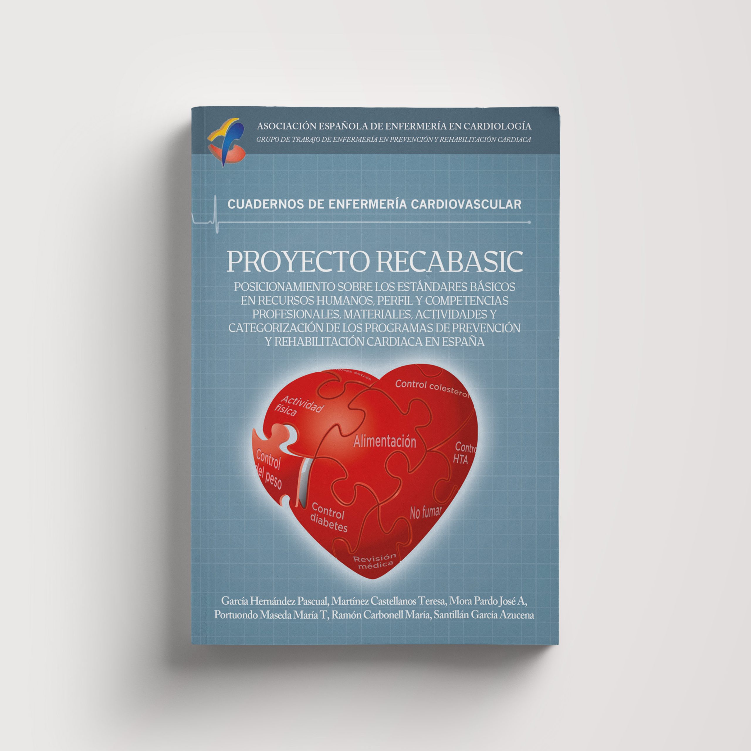 Proyecto RECABASIC