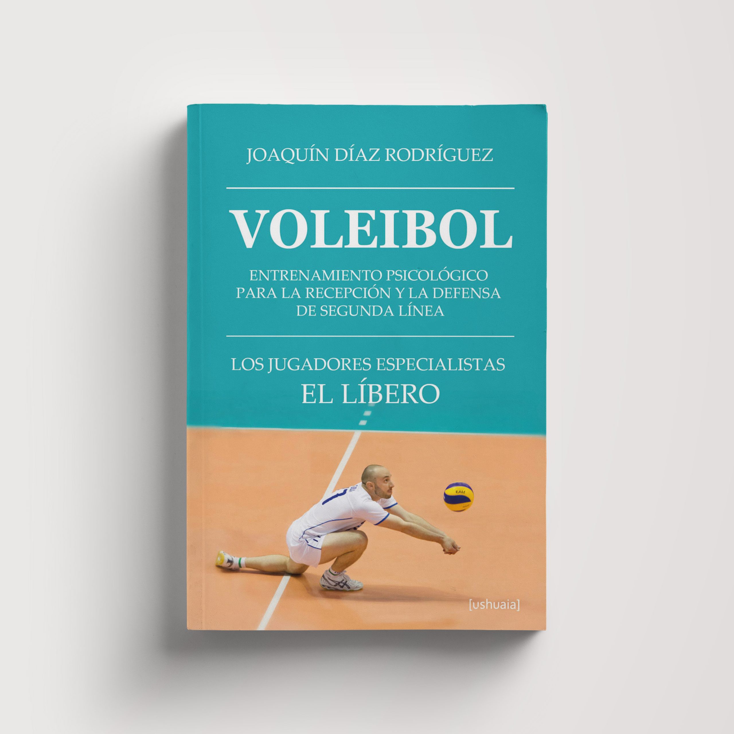 Voleibol